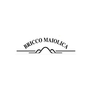 Azienda Agricola Bricco Maiolica logo