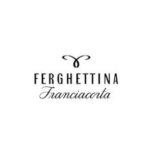 Azienda Agricola Ferghettina logo