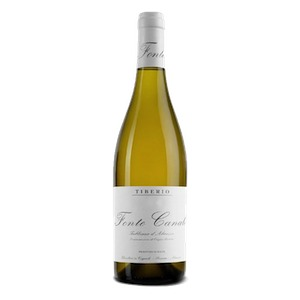 Trebbiano d'Abruzzo DOC “Fonte Canale” 