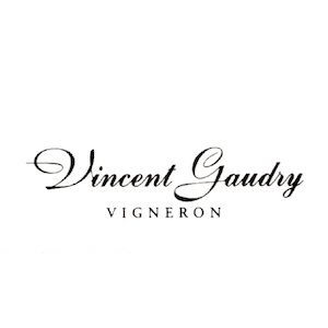 Vincent Gaudry logo