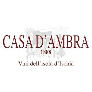 Casa d'Ambra logo