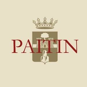Paitin logo