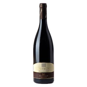 Montepulciano d’Abruzzo DOC “Antrum” 