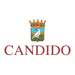 Candido logo