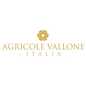 Vallone logo