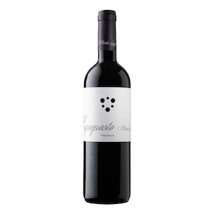 Puglia IGP “Capoposto” Negroamaro 