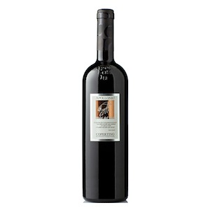 Copertino DOC “Mani del Sud” 