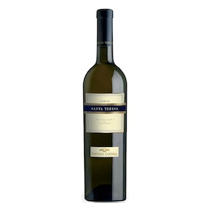 Frascati Superiore DOCG “Santa Teresa” 