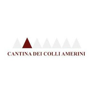 Cantina Sociale Dei Colli Amerini logo