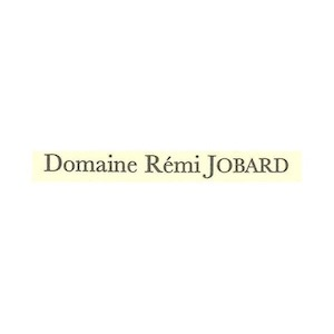 Domaine Rémi Jobard logo
