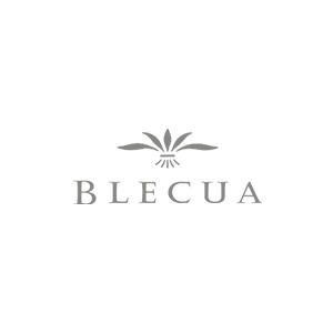 Bodegas Blecua logo