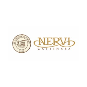 Nervi logo