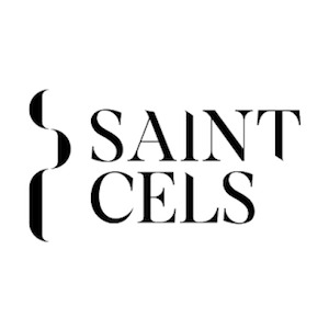 Domaine Saint Cels logo