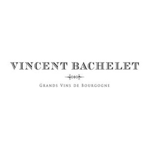 Domaine Bachelet Vincent logo