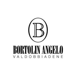 Bortolin Angelo logo