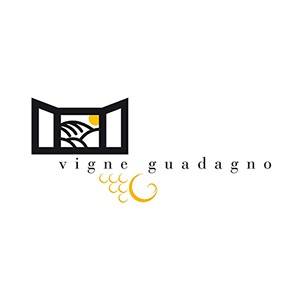 Vigne Guadagno logo