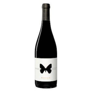 Montepulciano d’Abruzzo DOC “Apollo” 