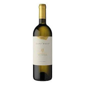Alto Adige / Südtirol DOC “Vigna Castel Ringberg” Sauvignon Blanc 