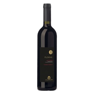 Gutturnio DOC “Pleione” Riserva Classico 