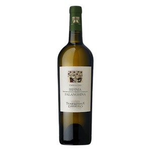 Irpinia DOC “Corte di Giso” Falanghina Beneventana 