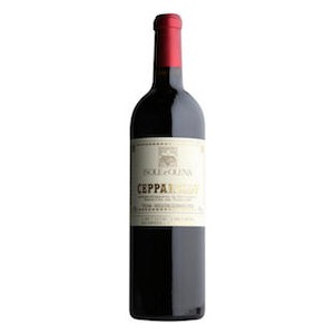 Toscana IGP “Cepparello” 