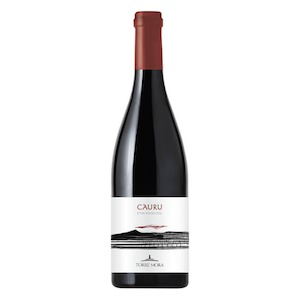 Etna DOC “Cauru” 