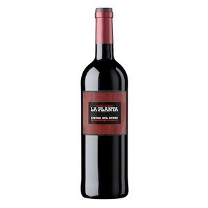 Ribera del Duero DO “La Planta” 