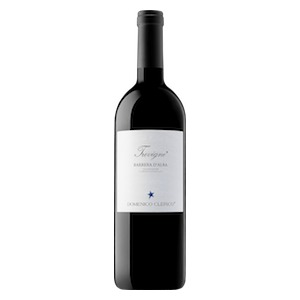 Barbera d’Alba DOC “Trevigne” 