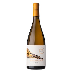 Irpinia DOC “Piano del Cardo” Falanghina Beneventana 