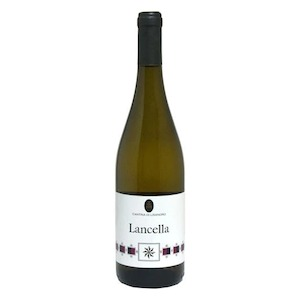 Terre del Volturno IGP “Lancella” Pallagrello Bianco 