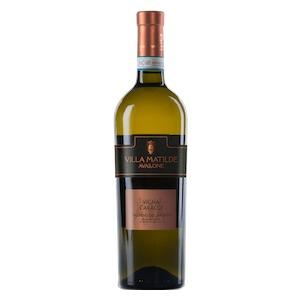 Falerno del Massico DOC “Vigna Caracci” 